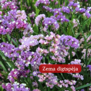 Limonijas Jomainās Qis Soft Pastel Shades